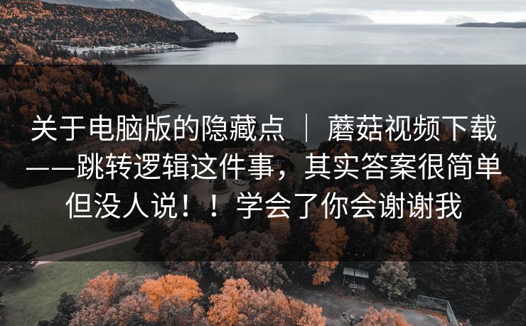关于电脑版的隐藏点 ｜ 蘑菇视频下载——跳转逻辑这件事，其实答案很简单但没人说！！学会了你会谢谢我